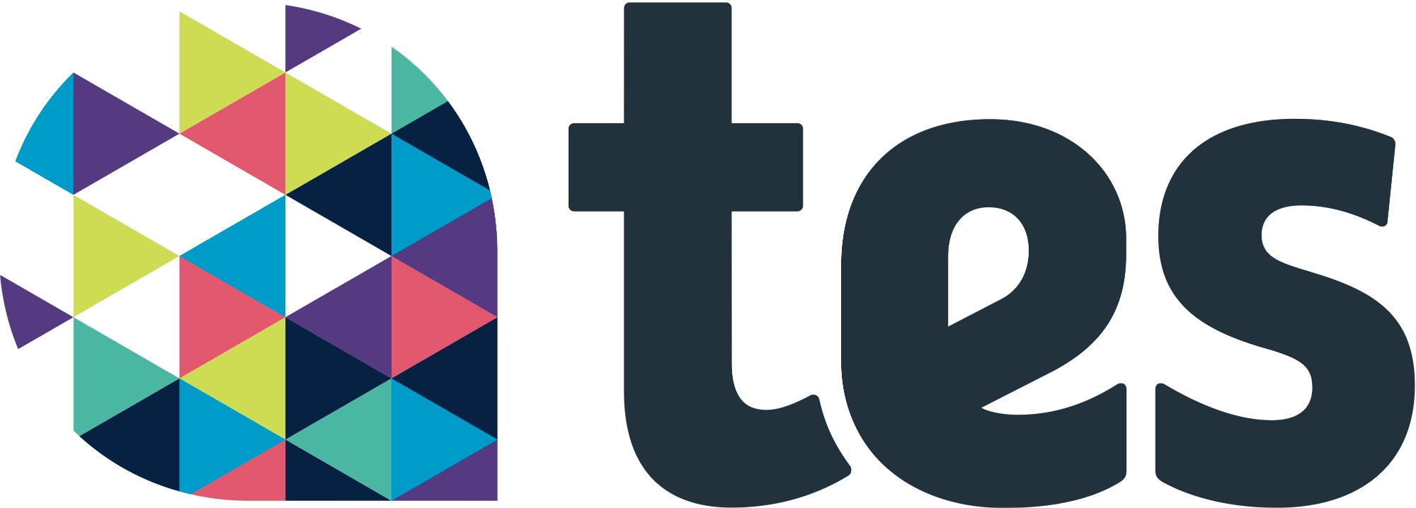 Image of TES logo