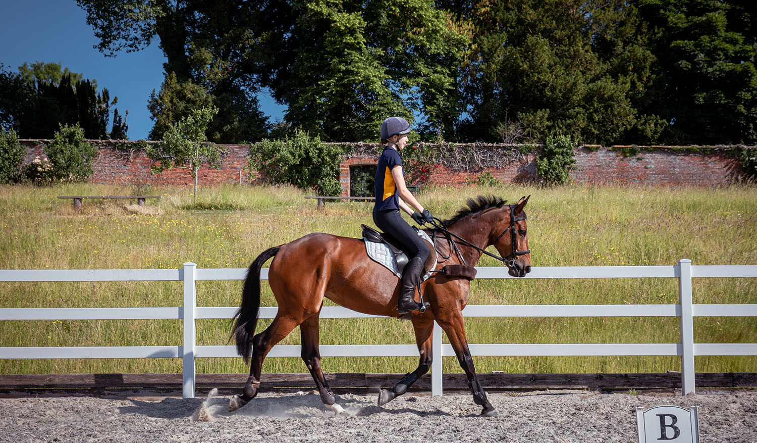 Horse riding private lesson