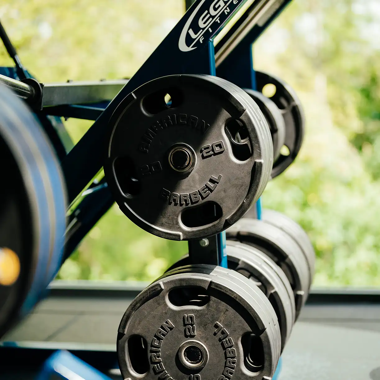 Gym weights