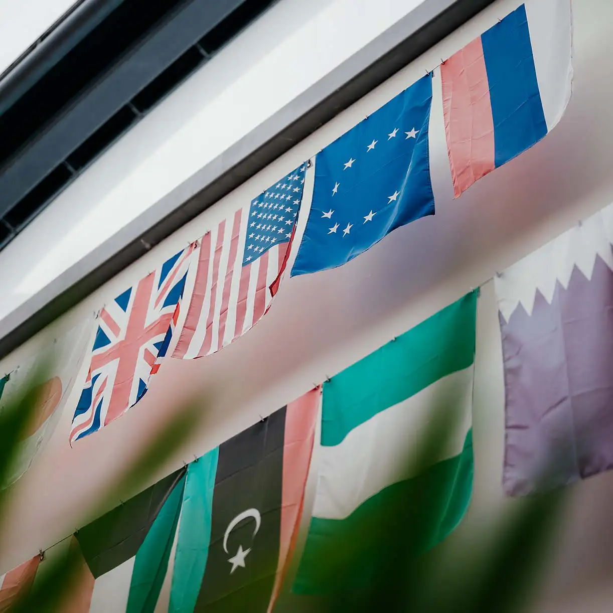 Flags of the world