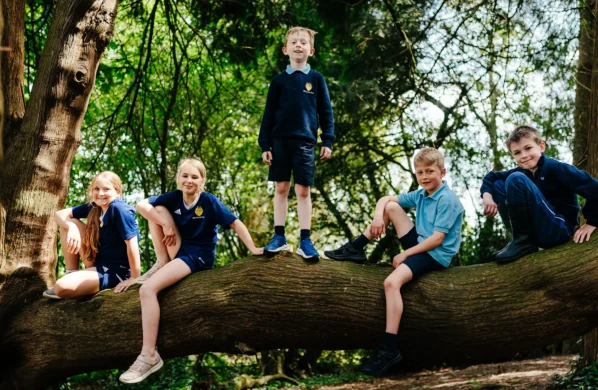 Prep school children in tree