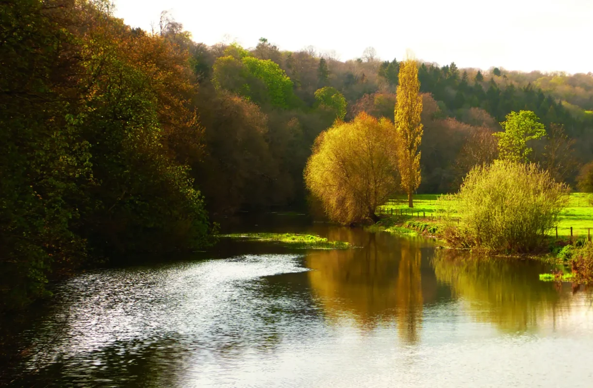 River and countryside